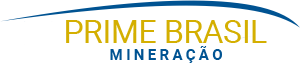Prime Brasil Logo